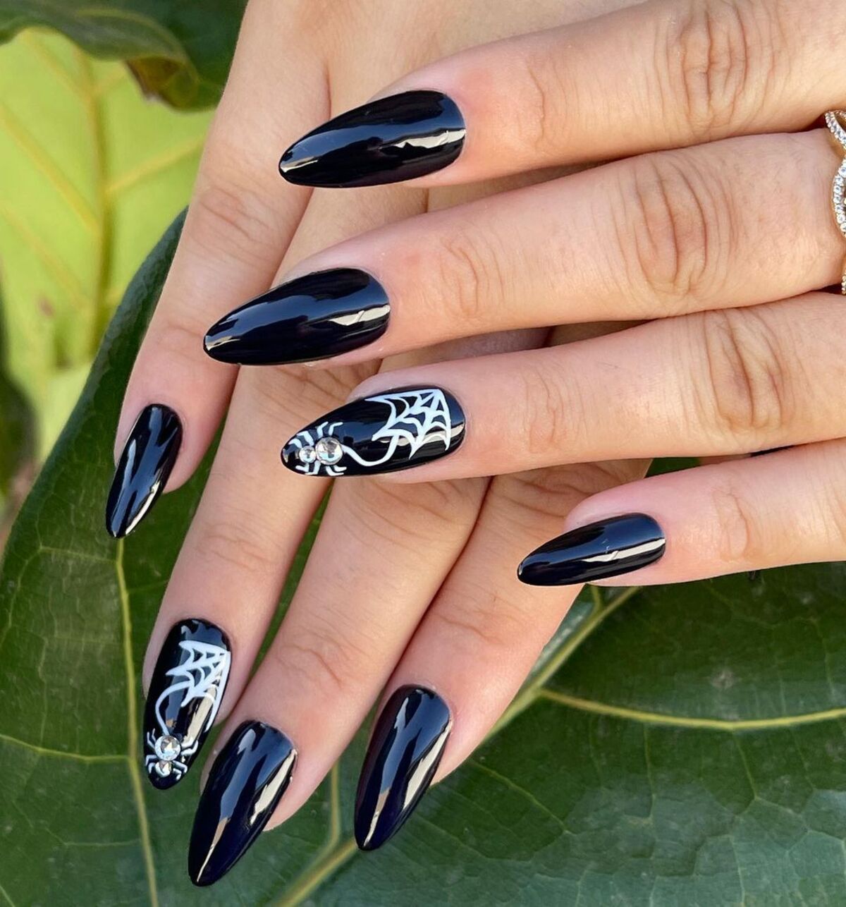 16. Elegant Spider Web on Glossy Black