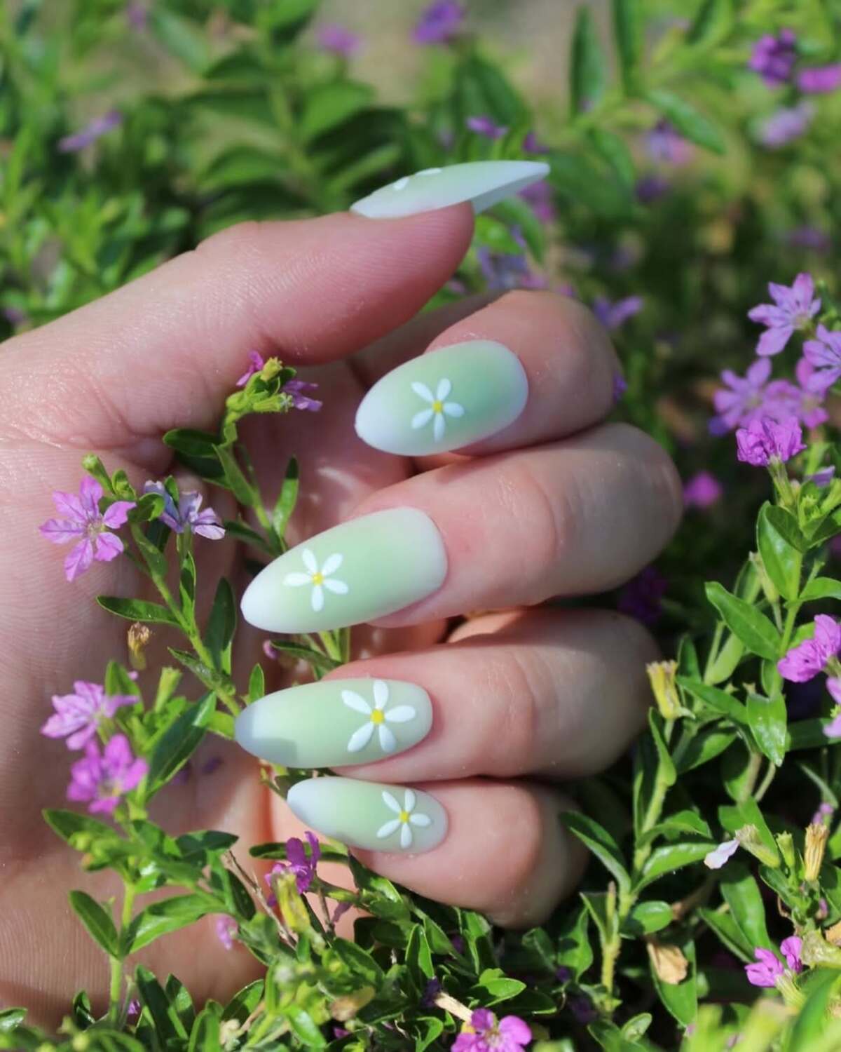 21. Soft Green Ombre with Fresh Daisies